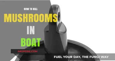 Effective Methods to Eradicate Mushrooms Growing in Your Boat
