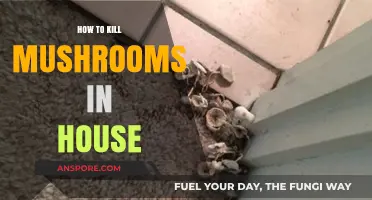 Effective Ways to Eliminate Unwanted Mushrooms in Your Home