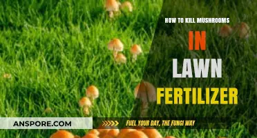 Effective Ways to Eliminate Mushrooms in Your Lawn Fertilizer