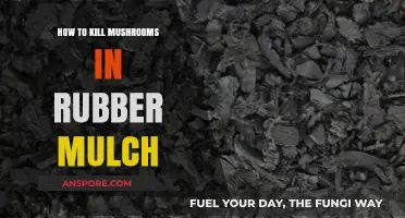 Effective Ways to Eliminate Mushrooms Growing in Rubber Mulch