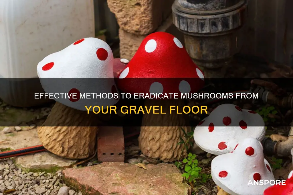 how to kill mushrooms on a gravel floor