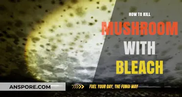 Effective Bleach Methods to Eliminate Unwanted Mushrooms Safely