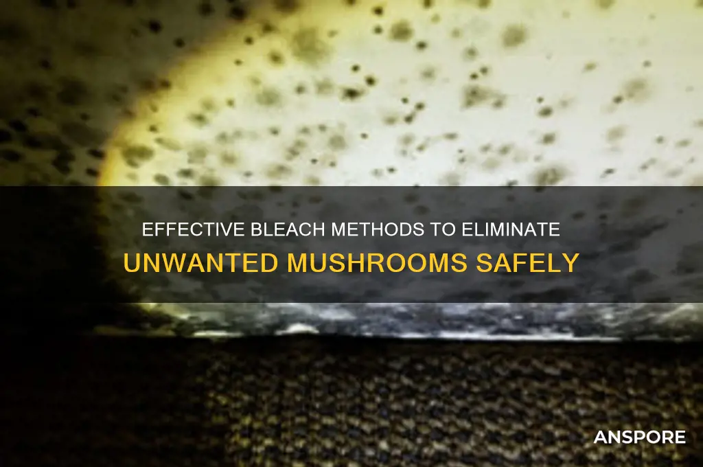how to kill mushrooms with bleach