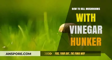 Effective Mushroom Removal: Using Vinegar to Kill Mushrooms in Your Garden