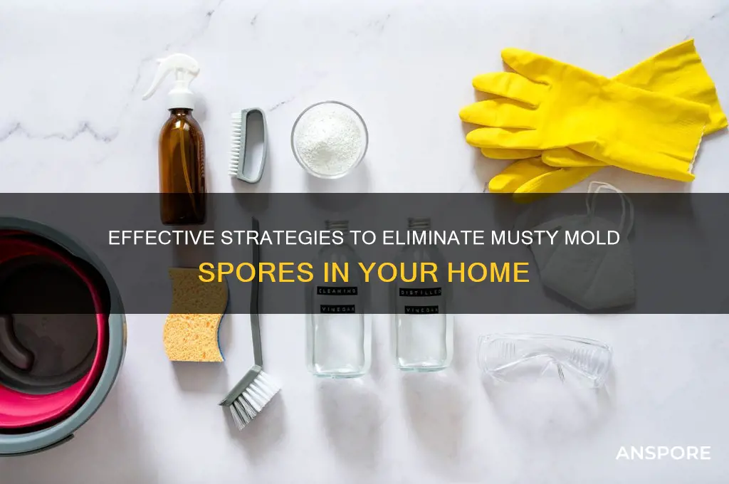 how to kill musty mold spores