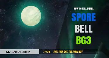 Effective Strategies to Defeat Pearl Spore Bell in Baldur's Gate 3