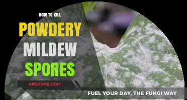 Effective Strategies to Eradicate Powdery Mildew Spores in Plants