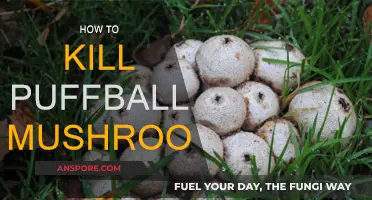 Destroying Puffball Mushrooms: Effective Methods to Try