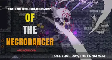 Effective Strategies to Eliminate Purple Mushrooms in Crypt of the Necrodancer