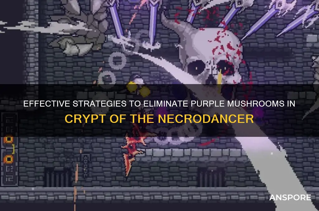 how to kill purple mushrooms crypt of the necrodancer