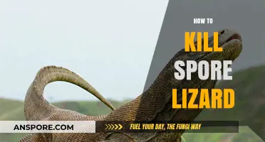 Effective Strategies to Eliminate Spore Lizards Safely and Efficiently