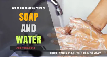 Alcohol vs. Soap: Which Effectively Kills Spores in Cleaning?