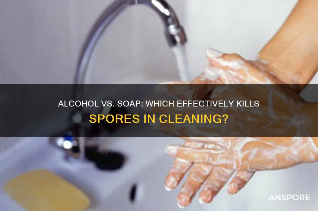 how to kill spores alcohol or soap and water