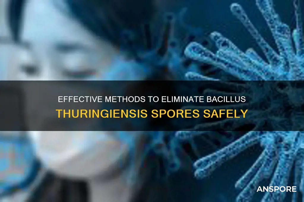 how to kill spores from bacillus thuringiensis
