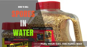 Effective Methods to Eliminate Spores in Water Safely and Easily