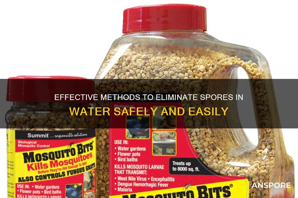 how to kill spores in water