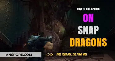 Effective Methods to Eradicate Spores on Snap Dragons: A Comprehensive Guide