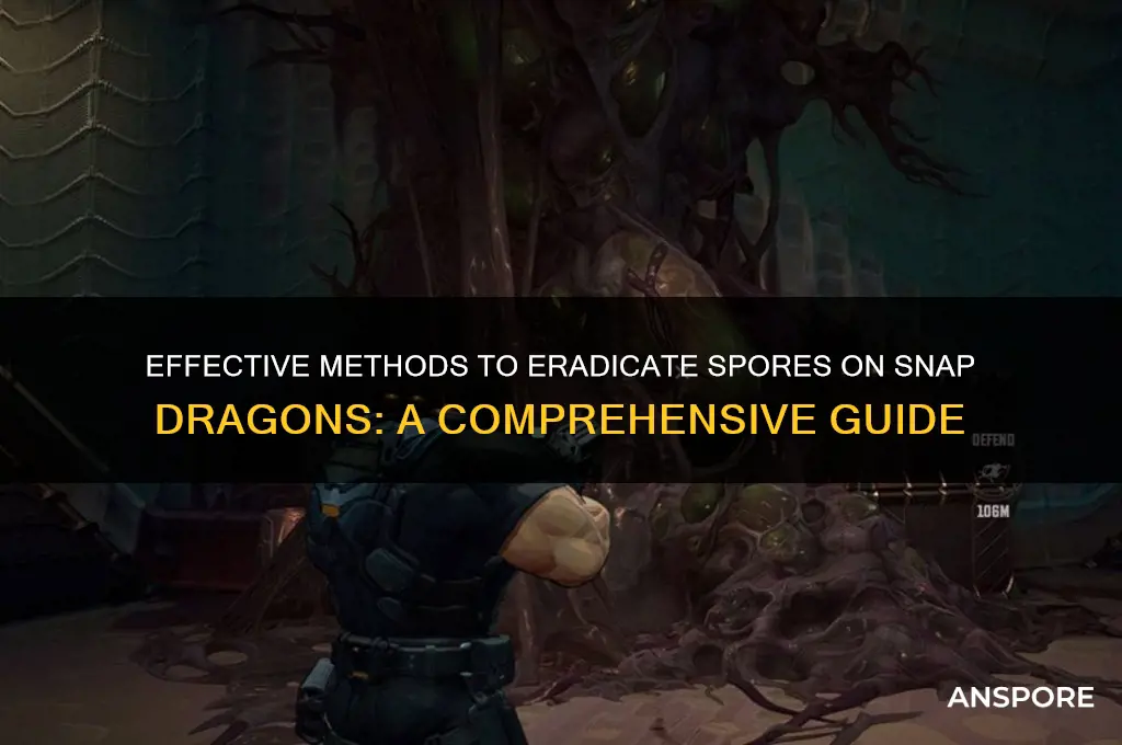 how to kill spores on snap dragons