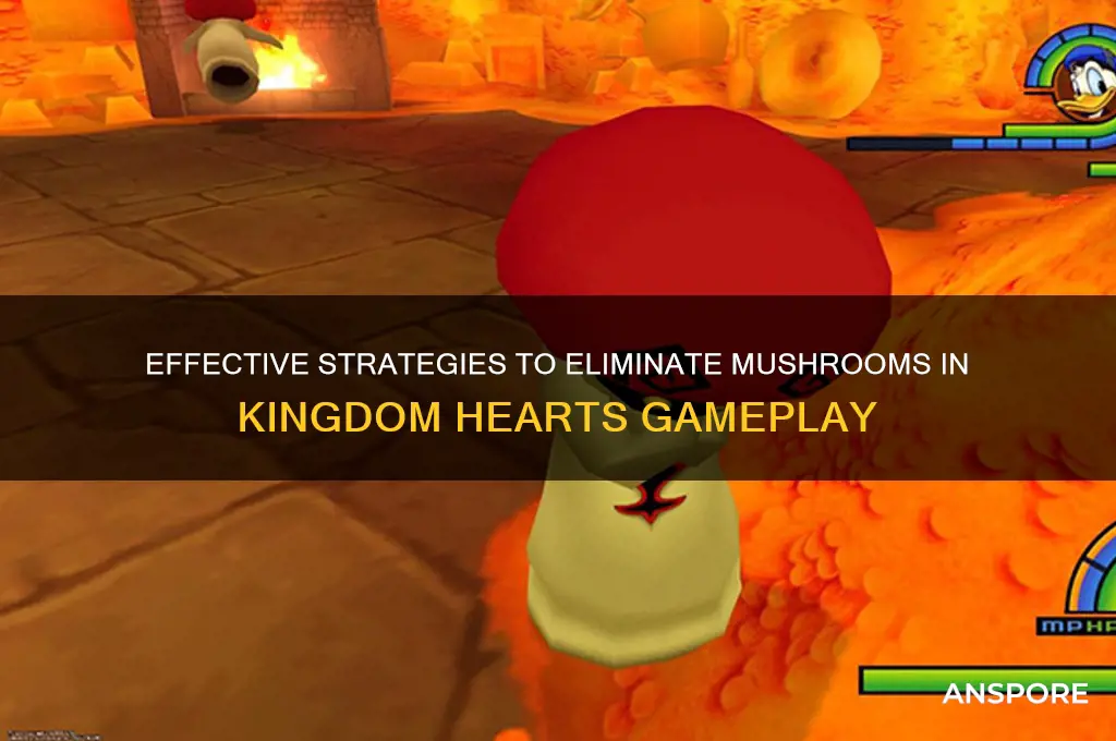 how to kill the mushrooms in kingdom hearts