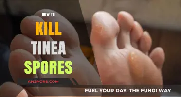 Effective Ways to Eradicate Tinea Spores and Prevent Recurrence
