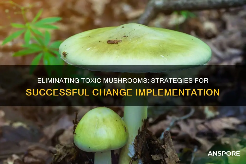 how to kill toxic mushrooms in implementing change book