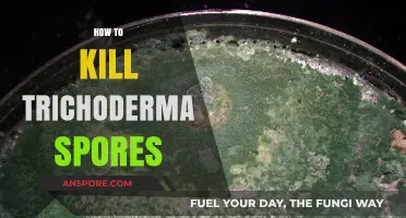 Effective Strategies to Eradicate Trichoderma Spores in Your Environment