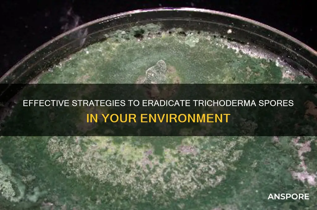 how to kill trichoderma spores
