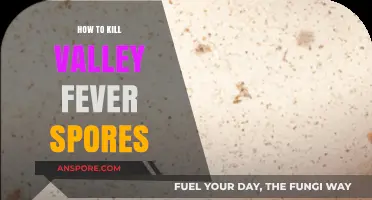 Effective Strategies to Eradicate Valley Fever Spores Safely and Efficiently