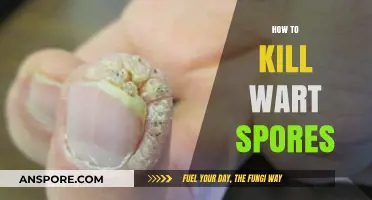 Effective Methods to Eradicate Wart Spores and Prevent Recurrence