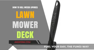 Effective Lawn Mower Deck Cleaning to Eliminate Weed Spores and Prevent Spread