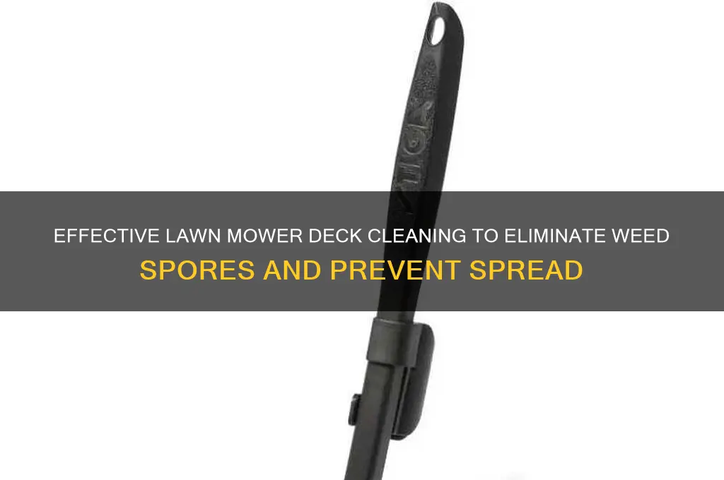 how to kill weeds spores lawn mower deck