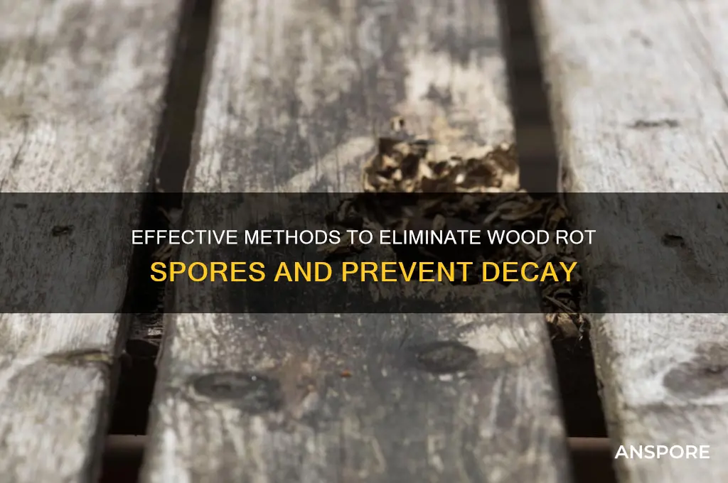 how to kill wood rot spores
