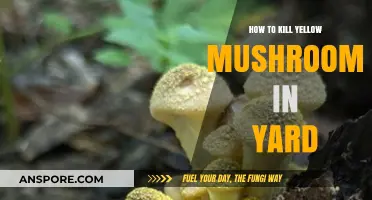 Effective Ways to Eliminate Yellow Mushrooms from Your Lawn