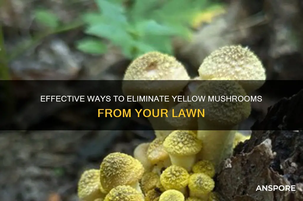 how to kill yellow mushrooms in yard
