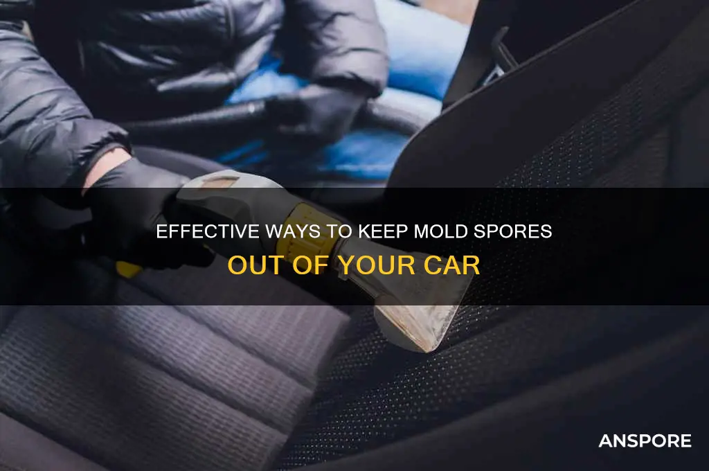 how to kipp mold spores in a car