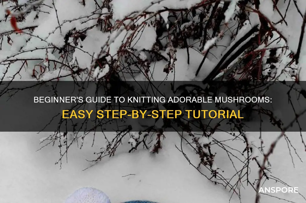 how to knit a mushroom for beginners