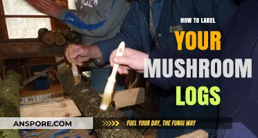 Effective Mushroom Log Labeling: Tips for Tracking Your Mycelium Growth