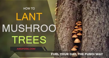 Mushroom Trees: Secrets to Successful Cultivation