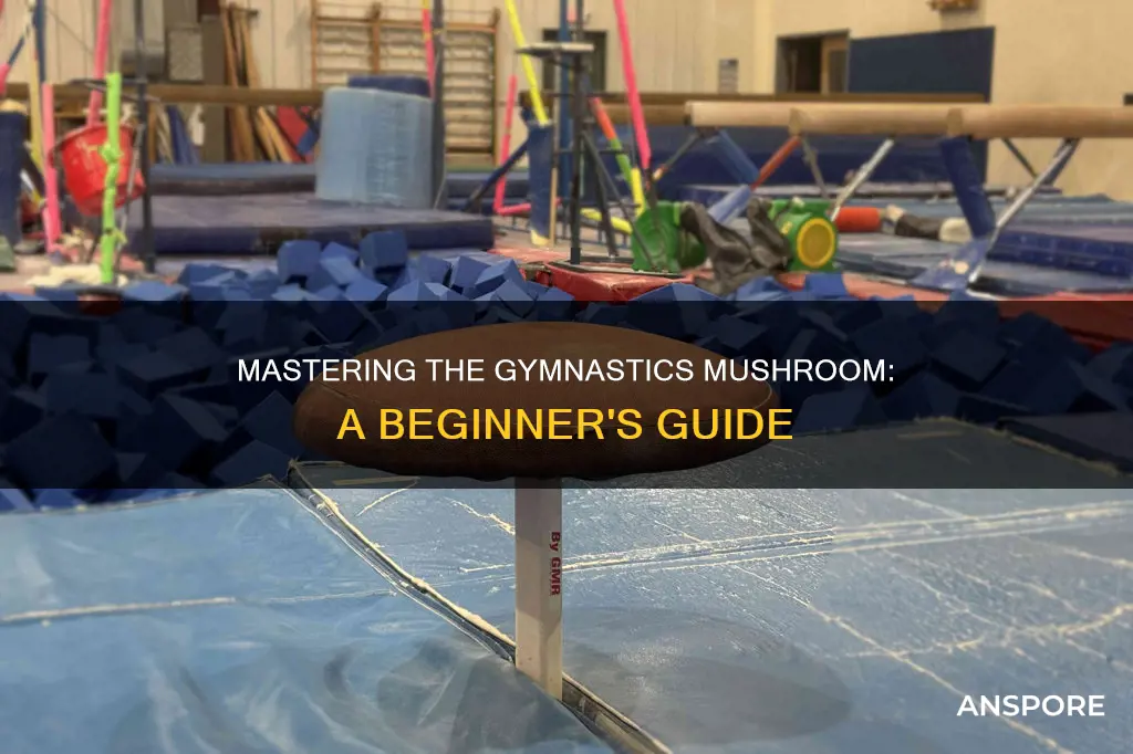 how to learn gymnastics mushroom