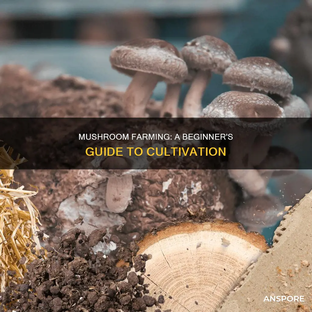 how to learn mushroom farming