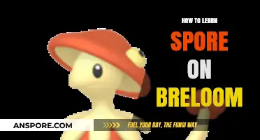 Mastering Spore on Breloom: Effective Strategies for Competitive Pokémon Battles