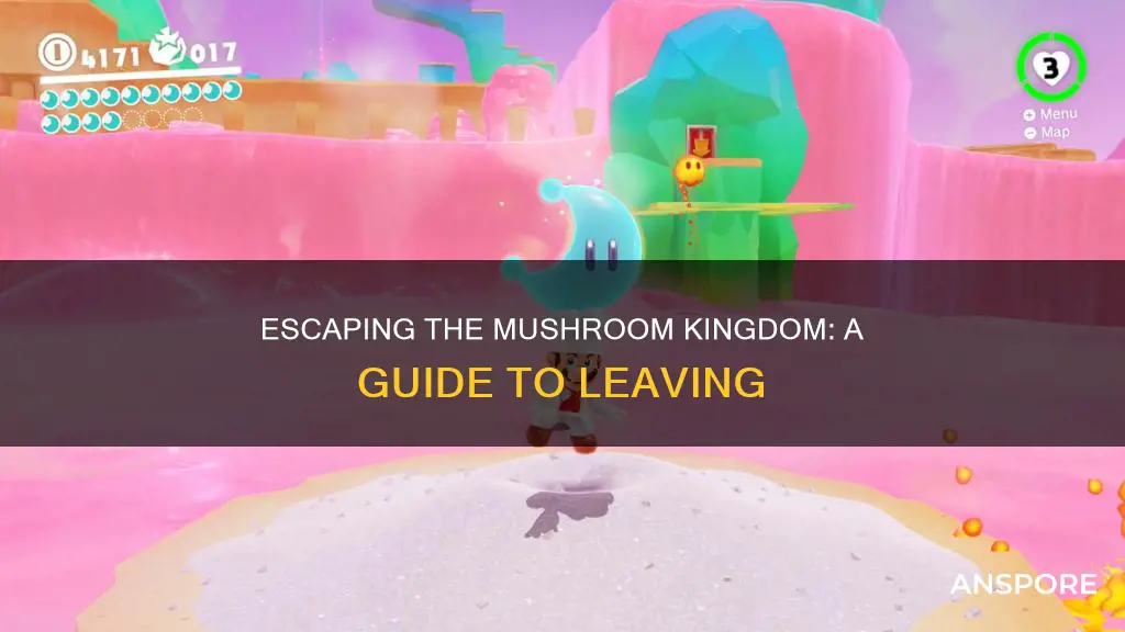 how to leave mushroom kingdom