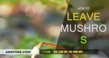 The Ultimate Guide to Leaving Mushrooms