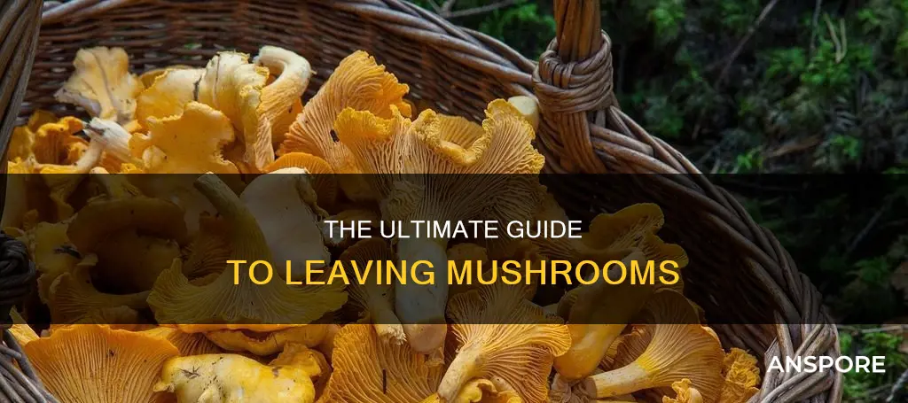 how to leave mushroom s