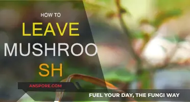 Mushroom Cultivation: Leaving the Hobby Behind