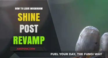 Mastering Mushroom Shine: Post-Revamp Strategies for a Lasting Glow