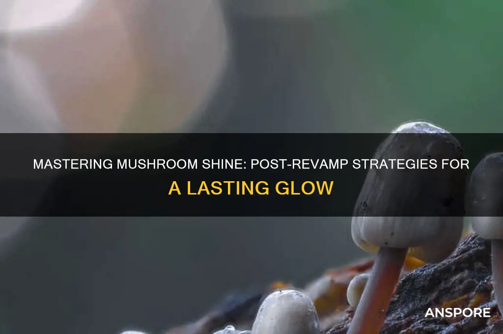 how to leave mushroom shine post revamp