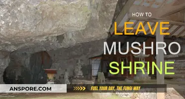 Explore the Mushroom Shrine: A Guide to Leaving