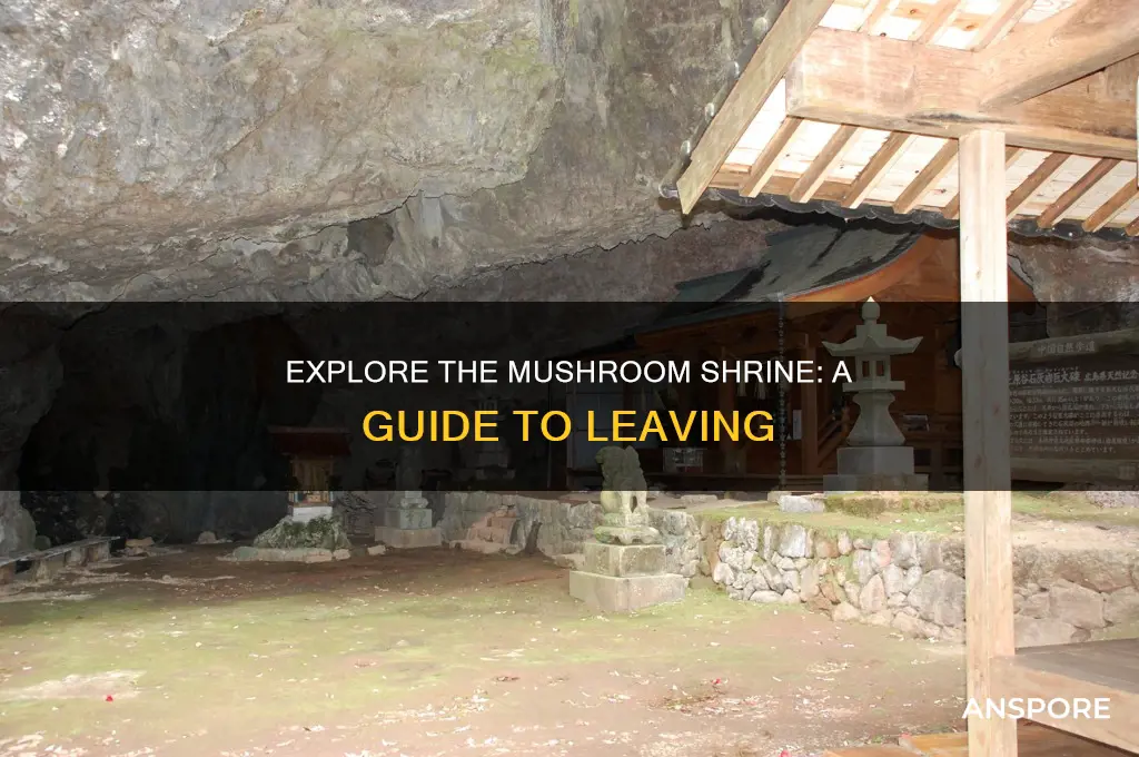 how to leave mushroom shrine
