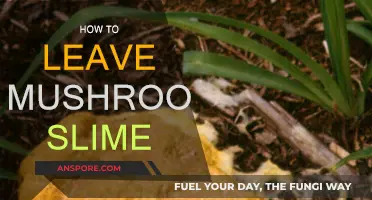 Removing Mushroom Slime: A Quick Guide